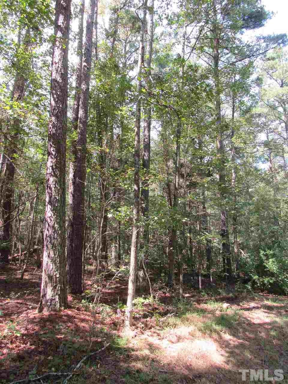 180 Old Homestead Road Pittsboro, NC 27312 - Photo 2 of 8