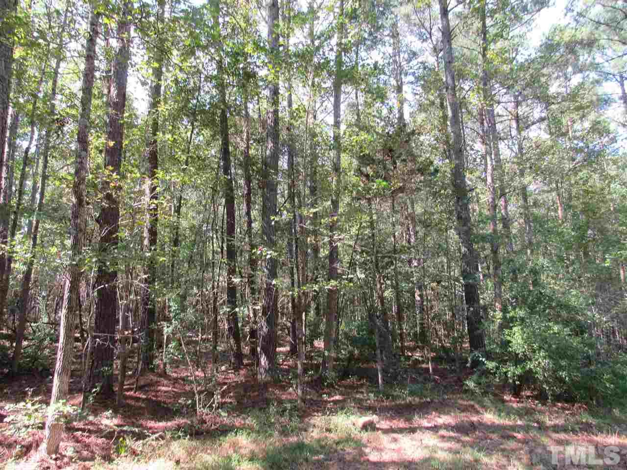 180 Old Homestead Road Pittsboro, NC 27312 - Photo 3 of 8