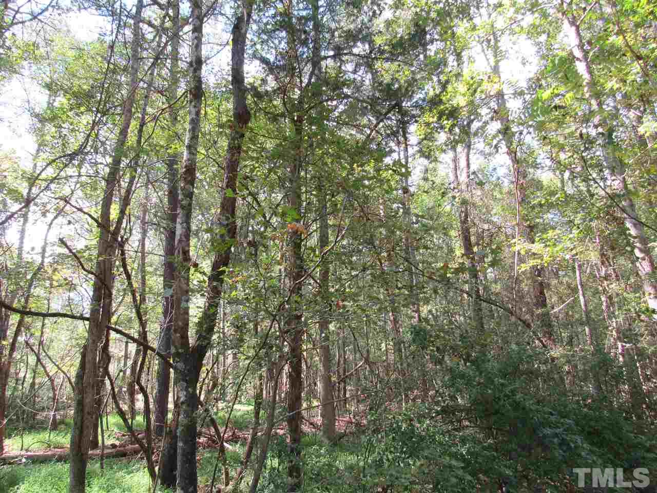 180 Old Homestead Road Pittsboro, NC 27312 - Photo 4 of 8