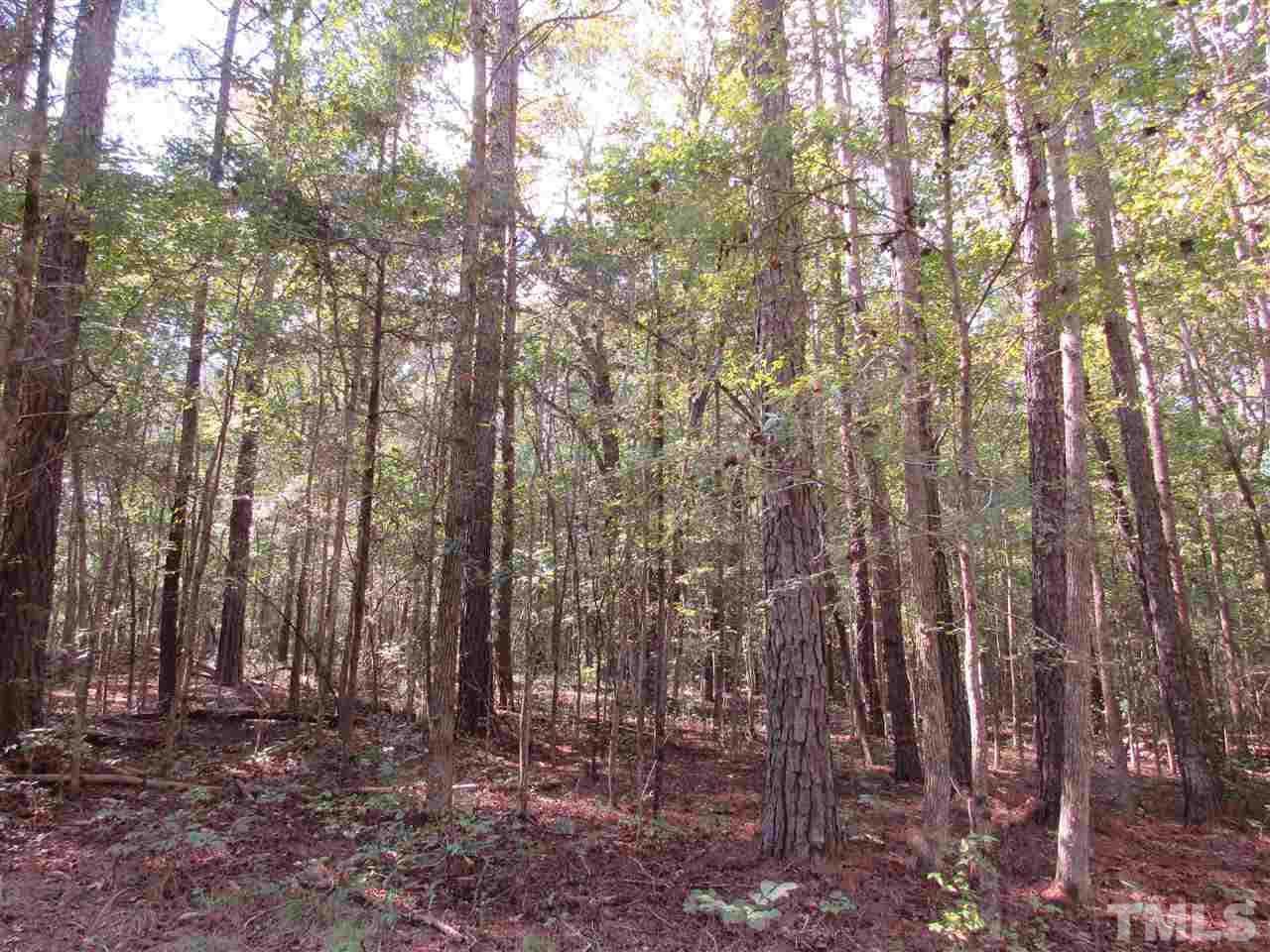 180 Old Homestead Road Pittsboro, NC 27312 - Photo 5 of 8