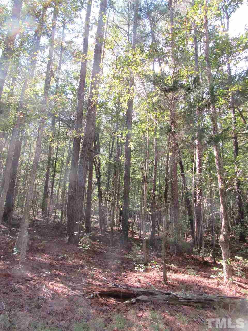 180 Old Homestead Road Pittsboro, NC 27312 - Photo 6 of 8