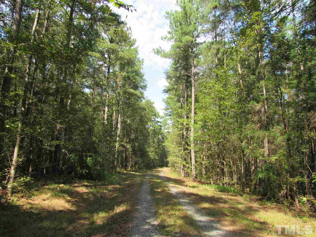 180 Old Homestead Road Pittsboro, NC 27312 - Photo 8 of 8