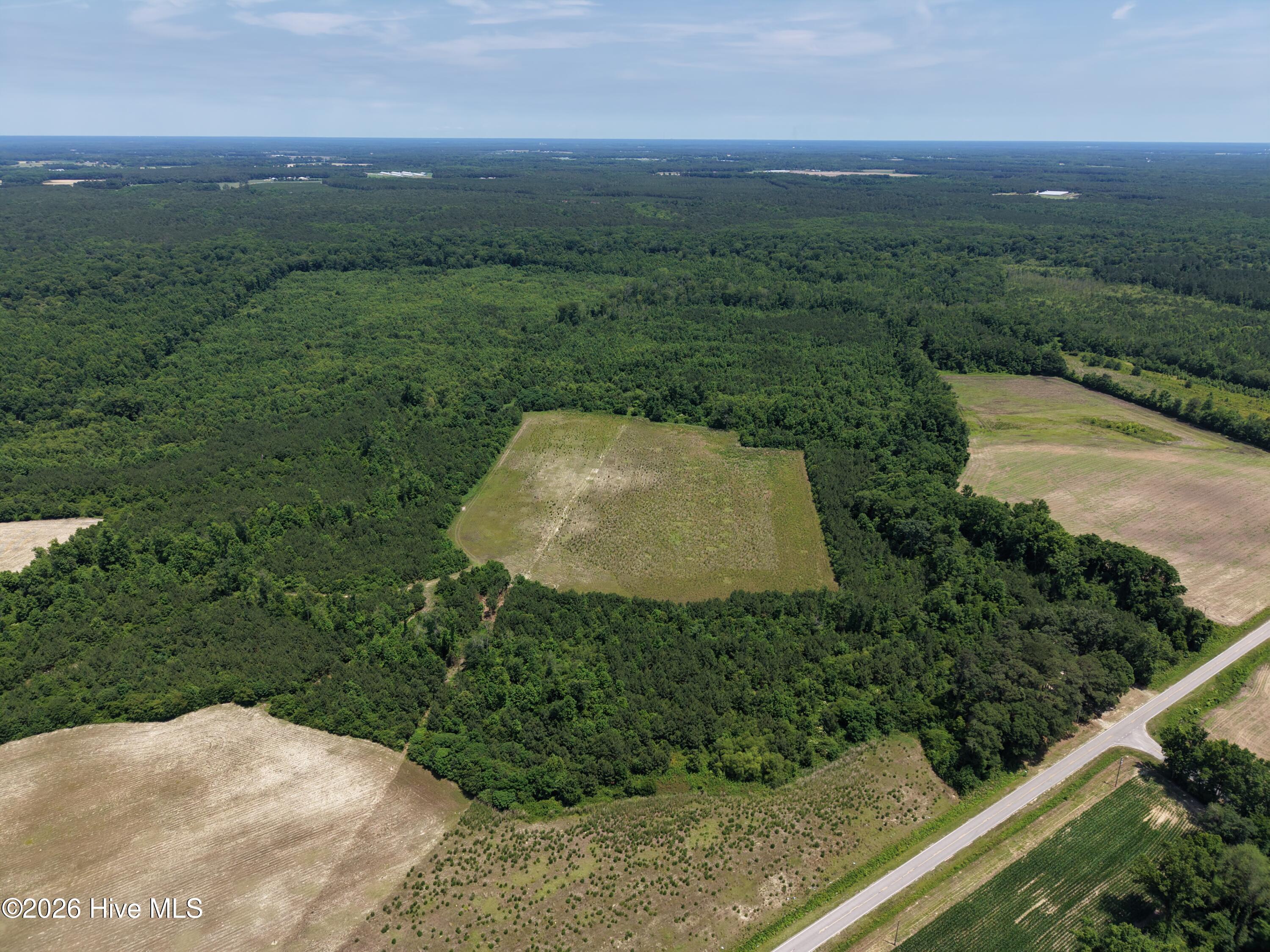 Lot 2 Bass Lake Road Clinton, NC 28328 - Photo 4 of 13