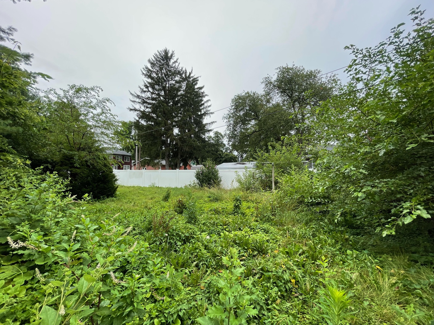 840 East Lincoln Street Hoopeston, IL 60942 - Photo 28 of 33 a view of a garden