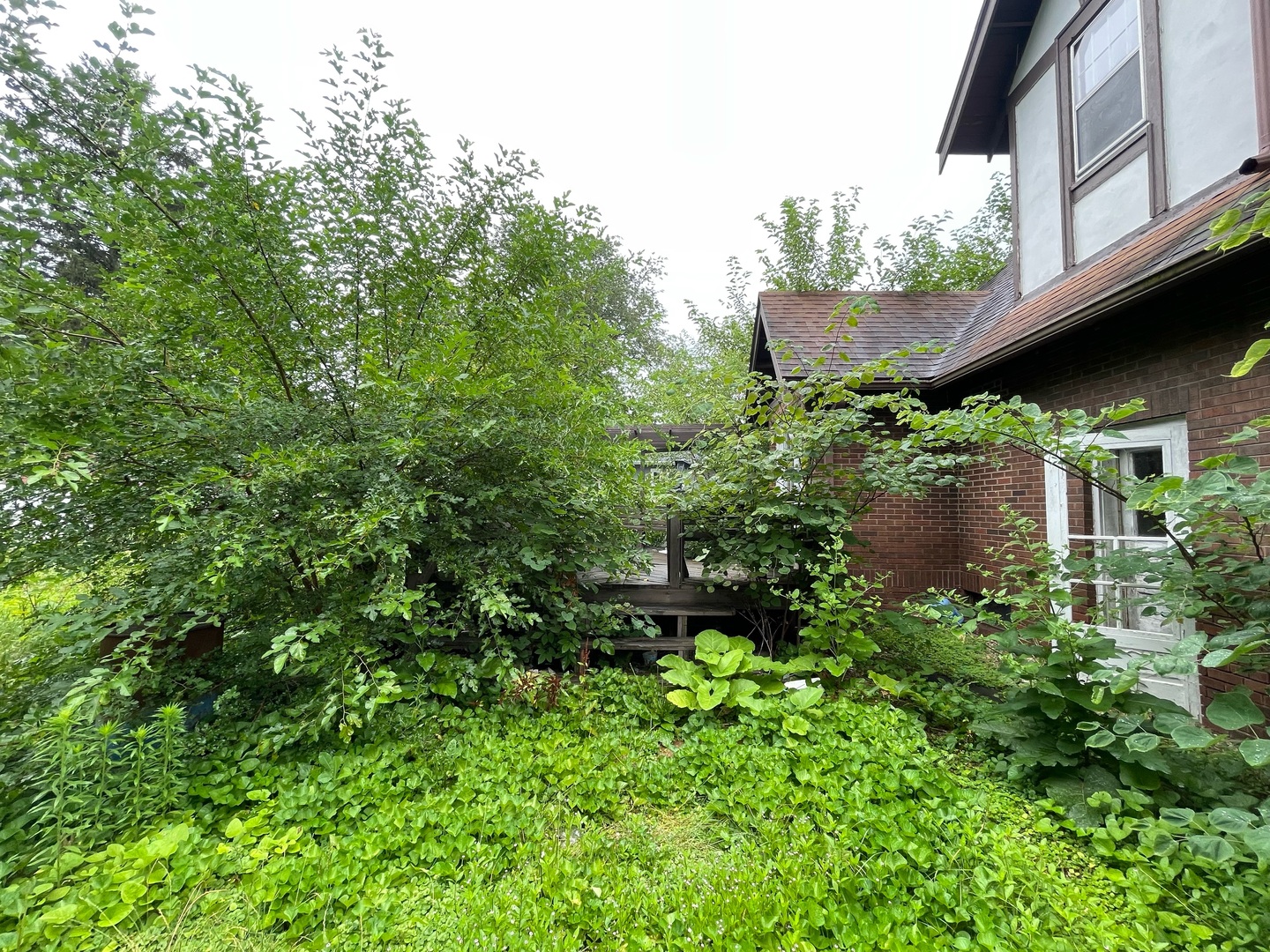 840 East Lincoln Street Hoopeston, IL 60942 - Photo 29 of 33 a view of a garden with a fountain