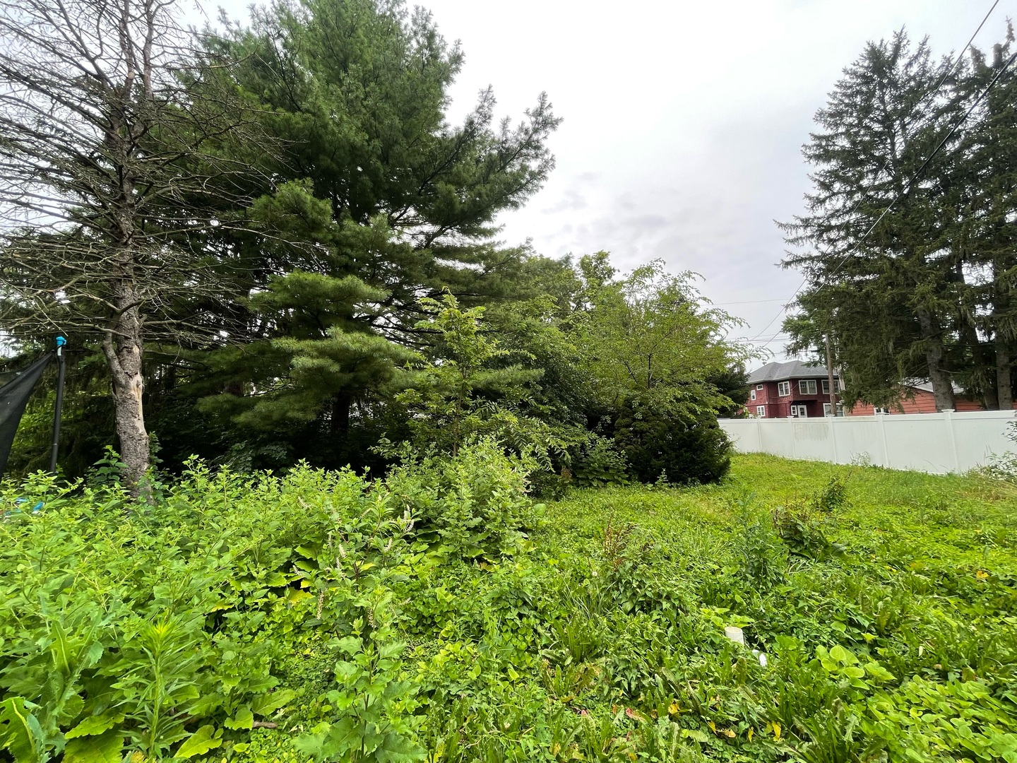 840 East Lincoln Street Hoopeston, IL 60942 - Photo 32 of 33 a view of a garden with a house