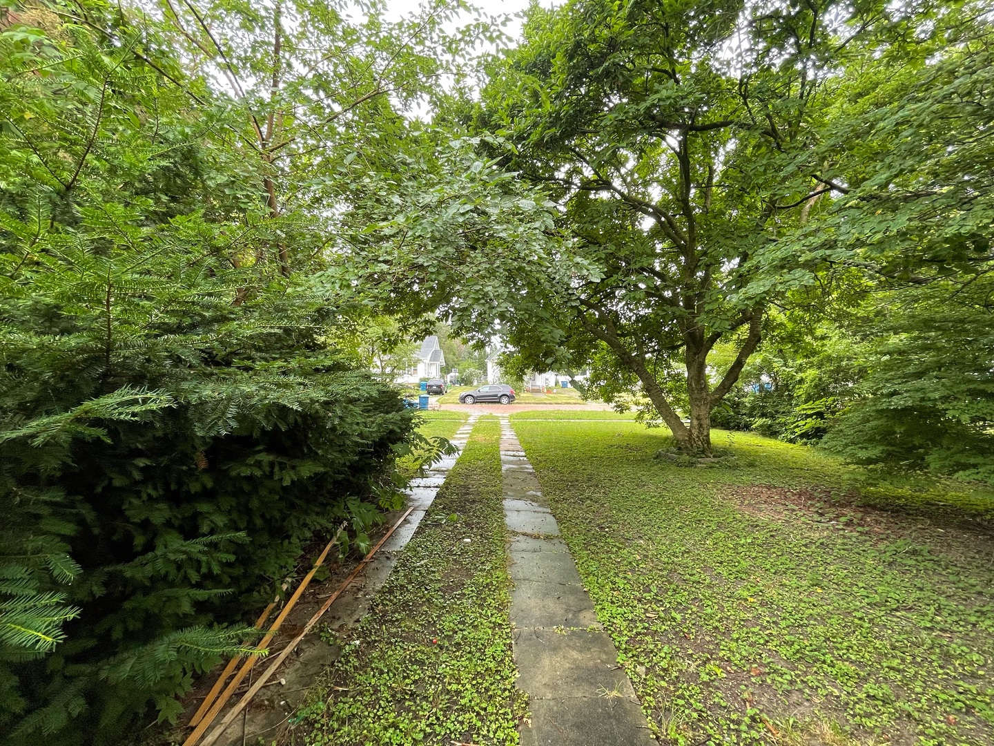 840 East Lincoln Street Hoopeston, IL 60942 - Photo 33 of 33 a view of yard with green space