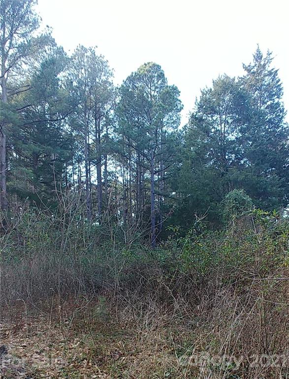 2237 Old Field Road Rock Hill, SC 29730 - Photo 3 of 8