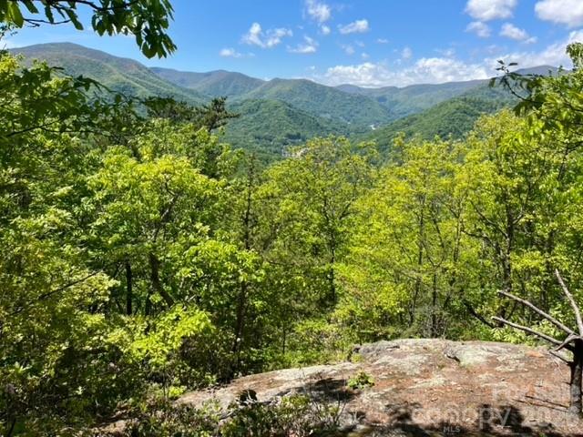 0 Soco Road Maggie Valley, NC 28751 - Photo 5 of 26