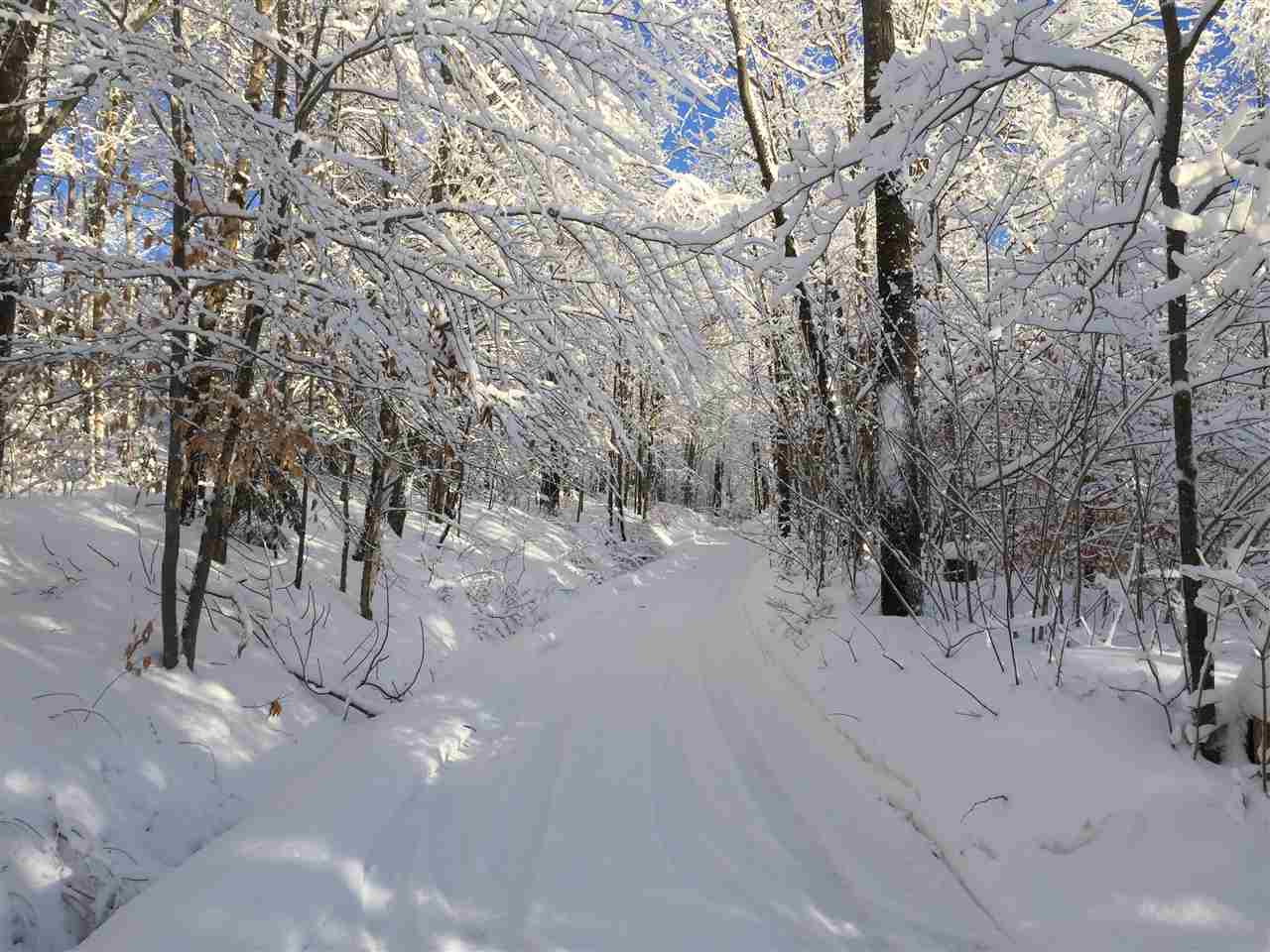 0 Shaw Road Roxbury, VT 05669 - Photo 1 of 6