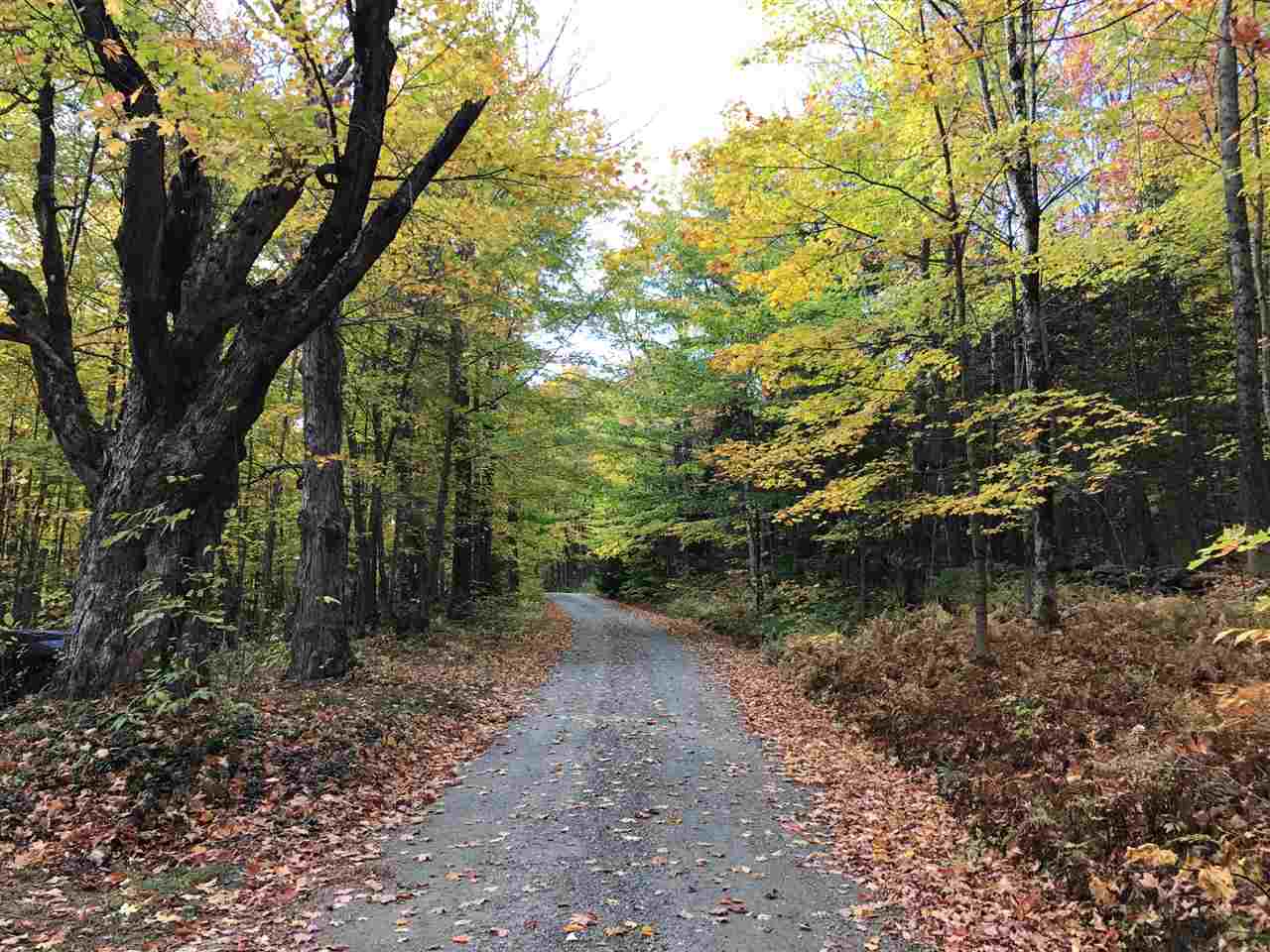 0 Shaw Road Roxbury, VT 05669 - Photo 2 of 6