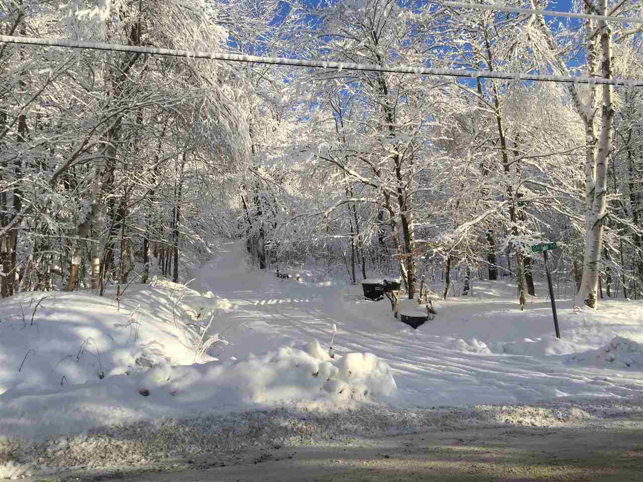 0 Shaw Road Roxbury, VT 05669 - Photo 6 of 6