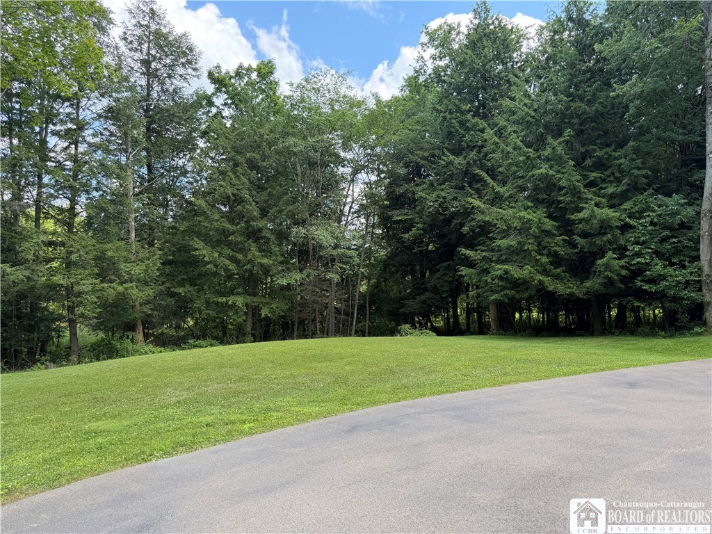 9039 Kidder Road Mina, NY 14781 - Photo 44 of 48 View to driveway side of backyard