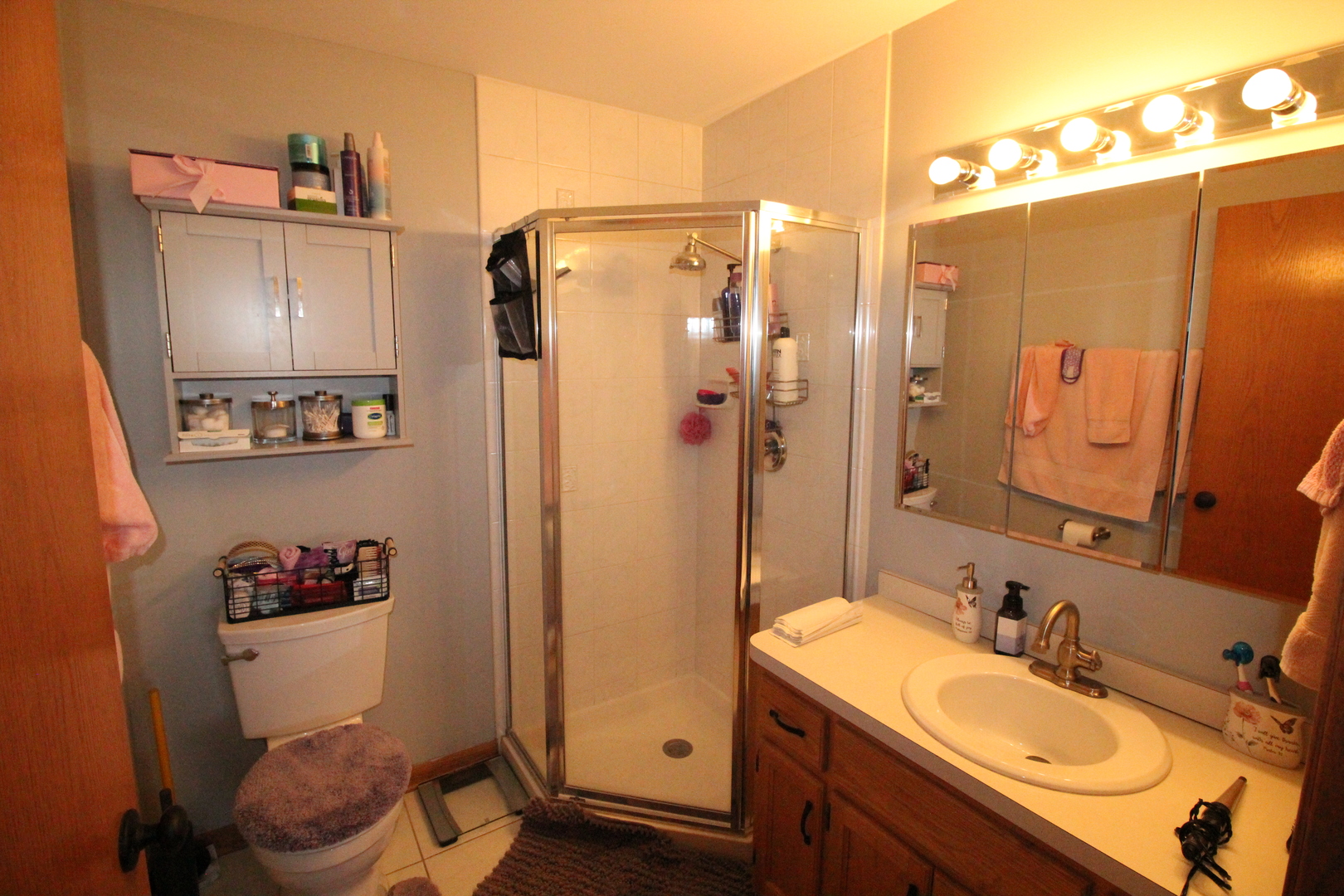 6248 South Gullikson Road, Unit 4E Chicago, IL 60638 - Photo 14 of 30 Gallery Image 14