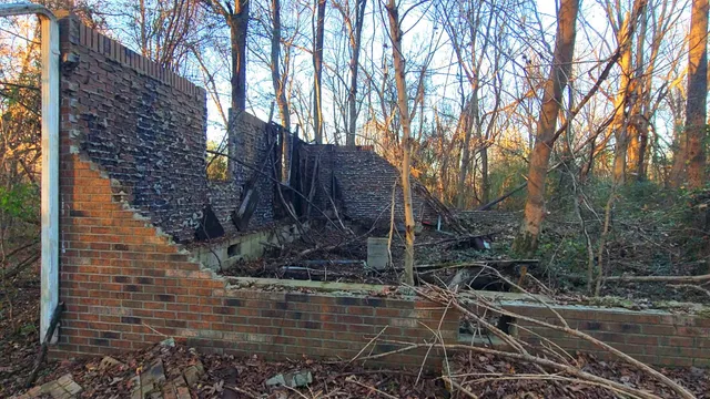 a view of a backyard