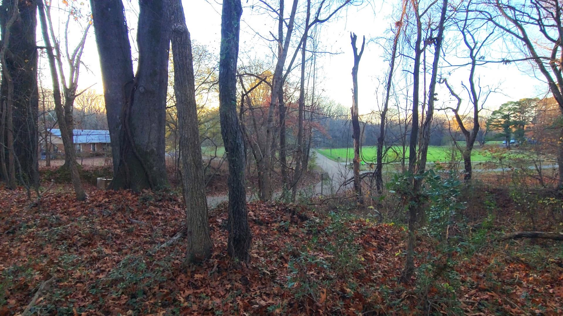 3218 Rast Road Millington, TN 38053 - Photo 13 of 18 View from lot to road and adjacent property