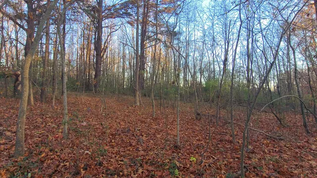 a view of yard covered with snow