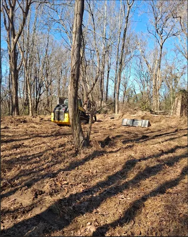 a view of outdoor space with trees