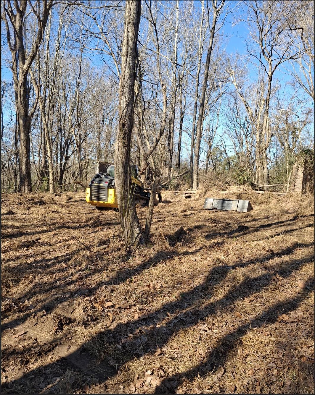 3218 Rast Road Millington, TN 38053 - Photo 15 of 18 Some clearing done by owner