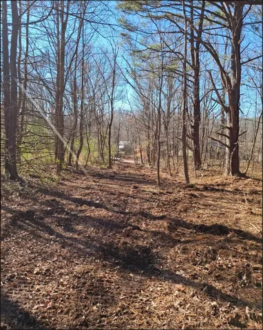 a view of backyard of house