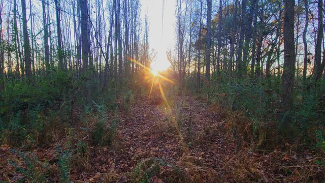 $39,000 | 3218 Rast Road, Millington, TN 38053