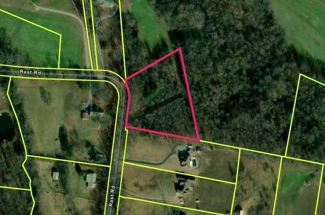 a view of a forest with a trees