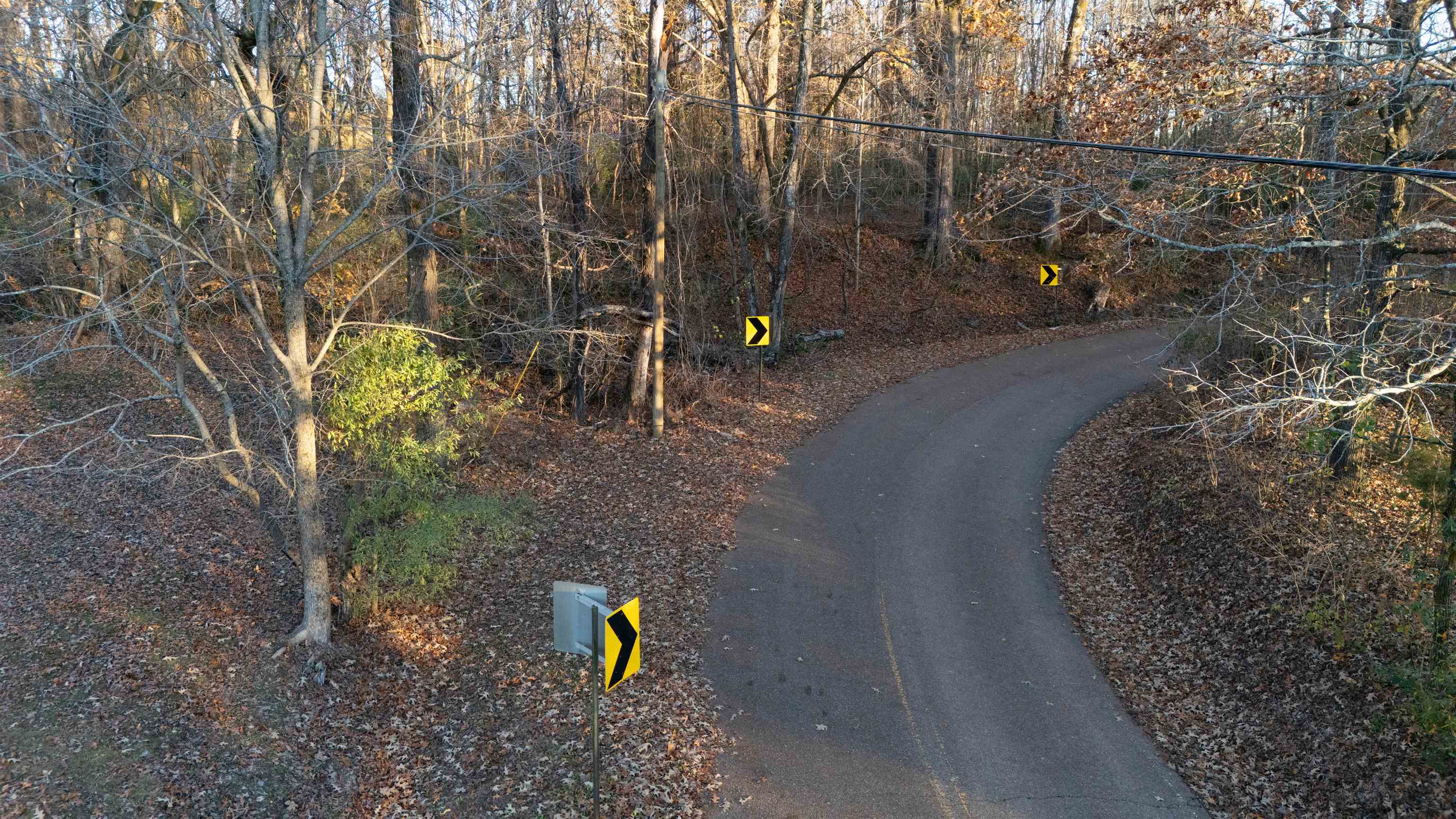 3218 Rast Road Millington, TN 38053 - Photo 8 of 18 Road Frontage in Curve