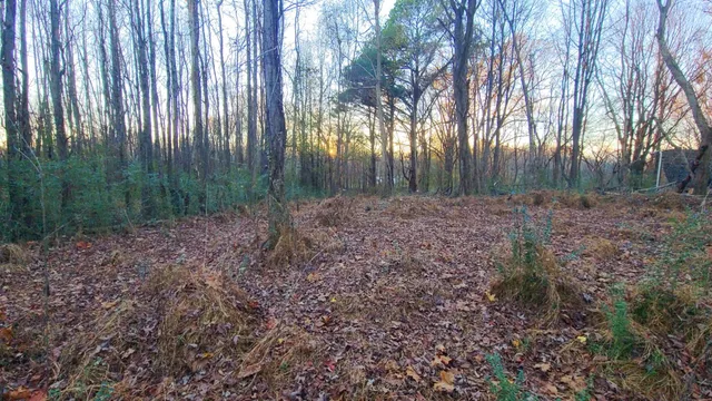 a view of street along with trees