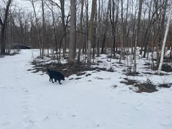 $119,900 | 1 Co Highway, Ottertail, MN 56571