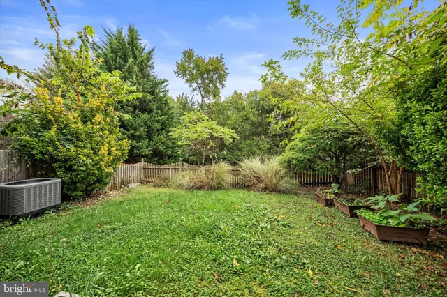 a view of a backyard with potted plants and large trees