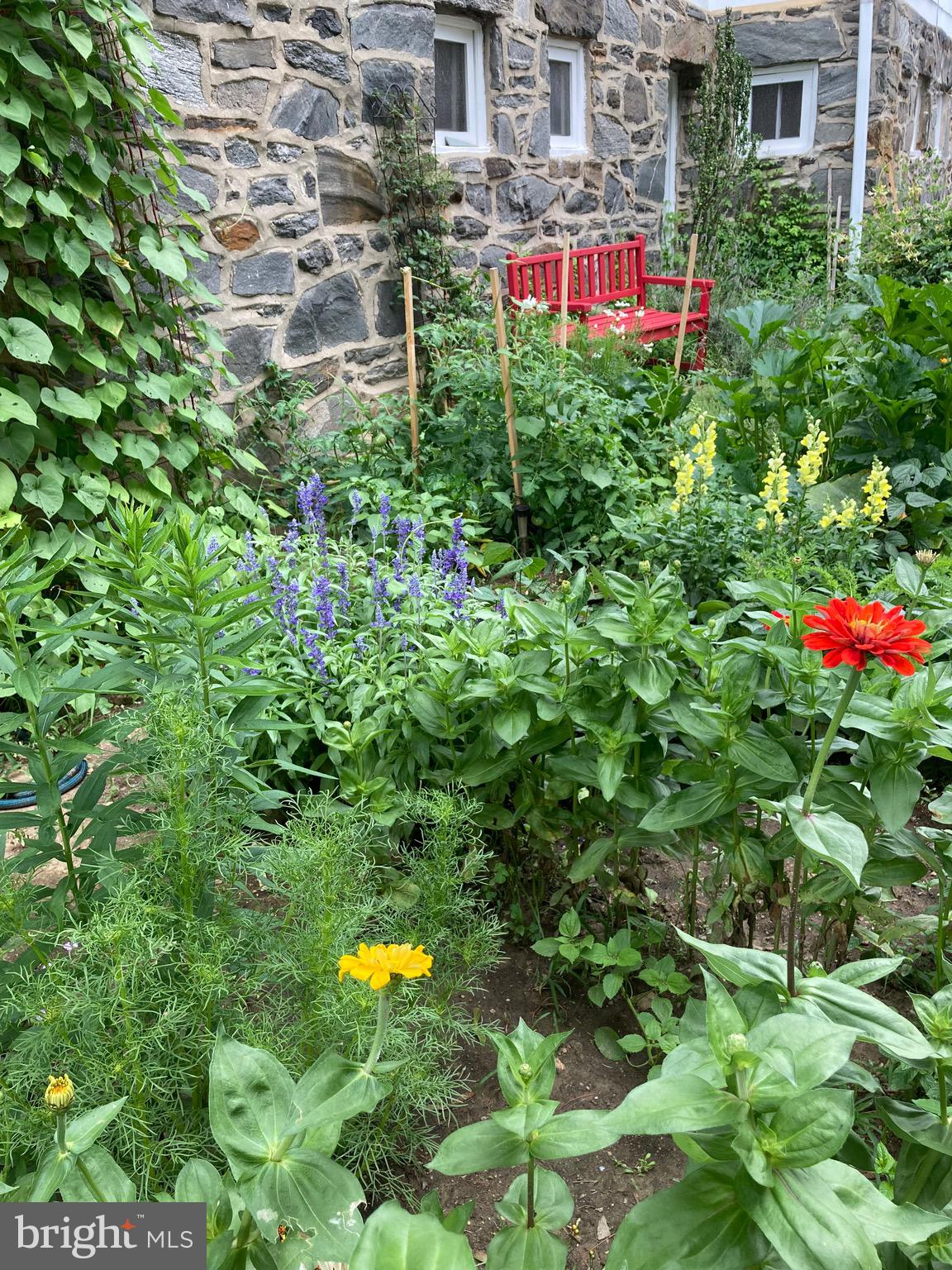 507 Kenilworth Road Merion Station, PA 19066 - Photo 27 of 27 Side Spring and Summer Garden