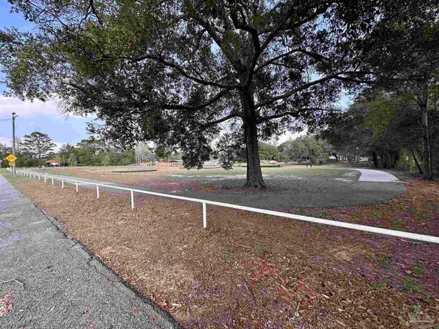 a view of a yard with a tree