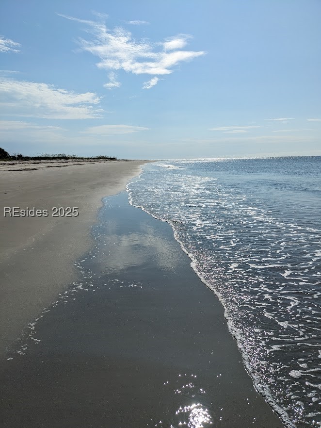 30 Volunteers Ridge Daufuskie Island, SC 29915 - Photo 16 of 28