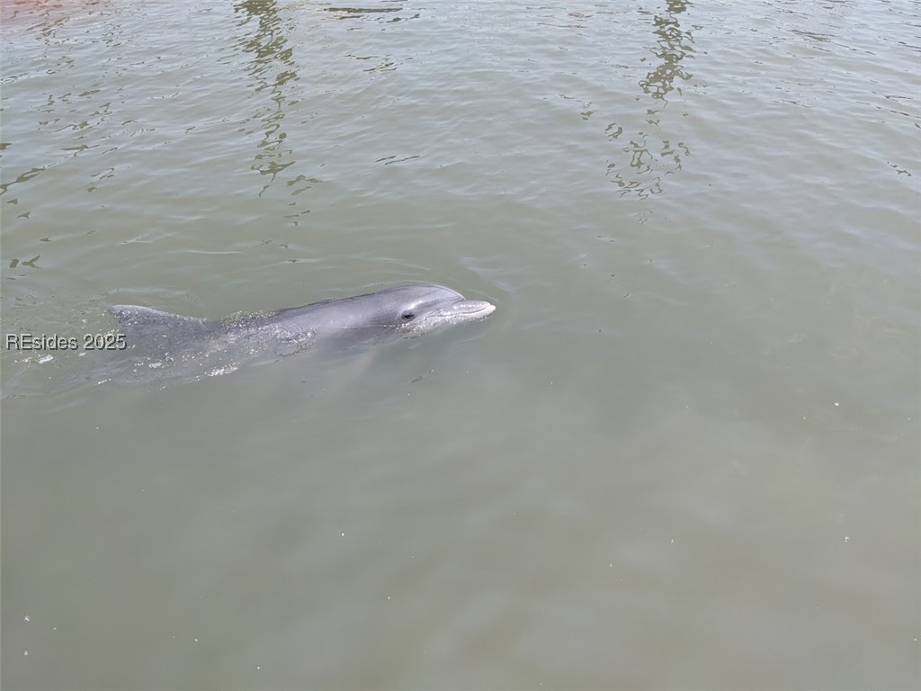 30 Volunteers Ridge Daufuskie Island, SC 29915 - Photo 20 of 28
