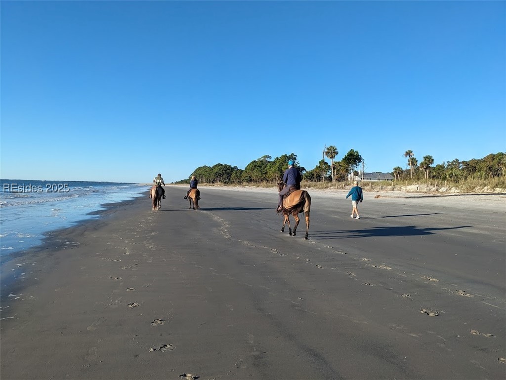30 Volunteers Ridge Daufuskie Island, SC 29915 - Photo 21 of 28