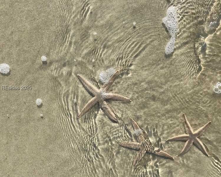 30 Volunteers Ridge Daufuskie Island, SC 29915 - Photo 26 of 28