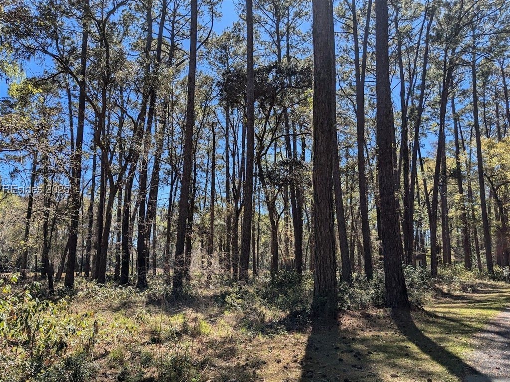 30 Volunteers Ridge Daufuskie Island, SC 29915 - Photo 3 of 28