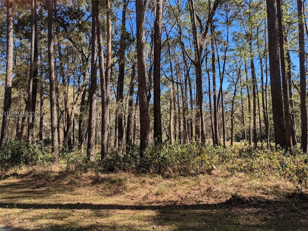 30 Volunteers Ridge Daufuskie Island, SC 29915 - Photo 4 of 28