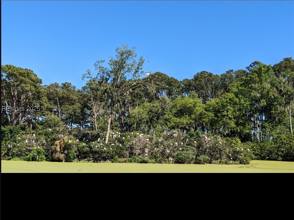 30 Volunteers Ridge Daufuskie Island, SC 29915 - Photo 9 of 28