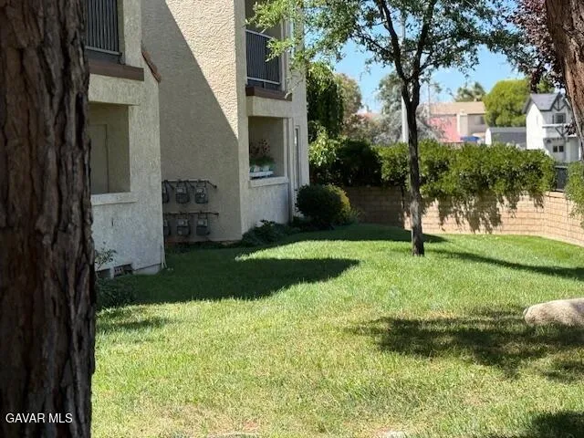 a view of a backyard with a garden and plants