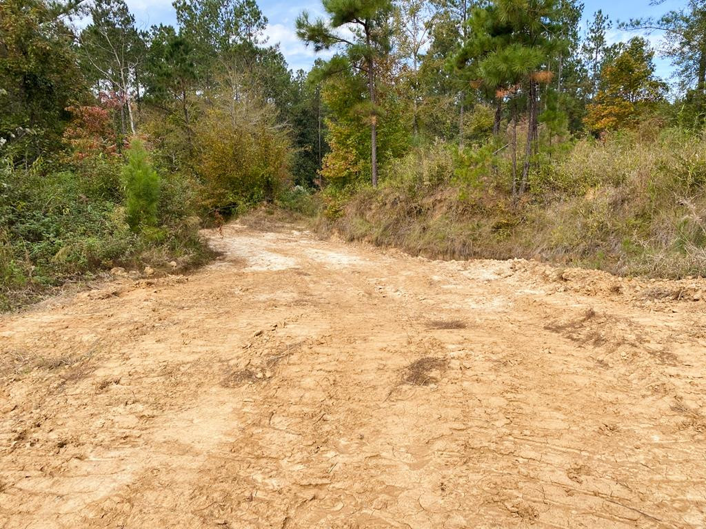 0 Roxie Road Roxie, MS 39661 - Photo 54 of 55 Photo 54