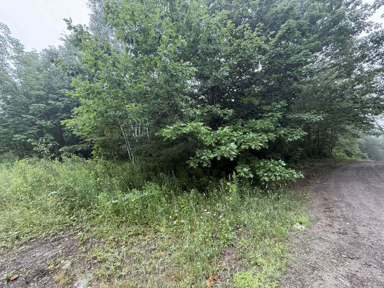 P/o M7-l32 Huff Corner Road Wellington, ME 04942 - Photo 2 of 6 att.ey-ZyiRSQGRMVs3Sw4Ie8Q8pwJgIGL-joHta