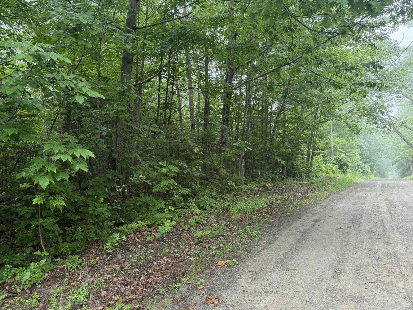 P/o M7-l32 Huff Corner Road Wellington, ME 04942 - Photo 3 of 6 att.nKWuvOVsg5a86Hxt04aQm-SwNOmiEzg_sbyu