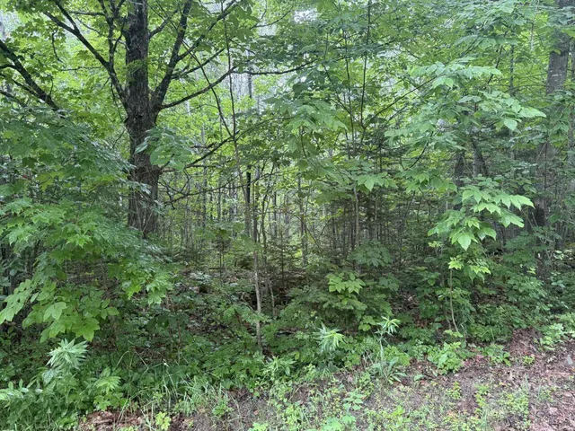 $50,000 | P/o M7-l32 Huff Corner Road, Wellington, ME 04942