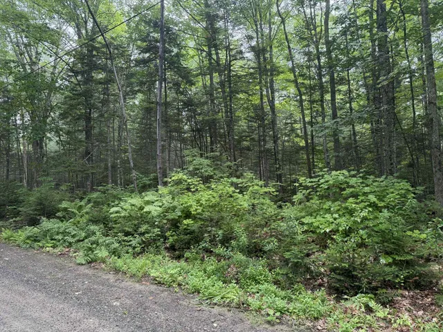 $50,000 | P/o M7-l32 Huff Corner Road, Wellington, ME 04942