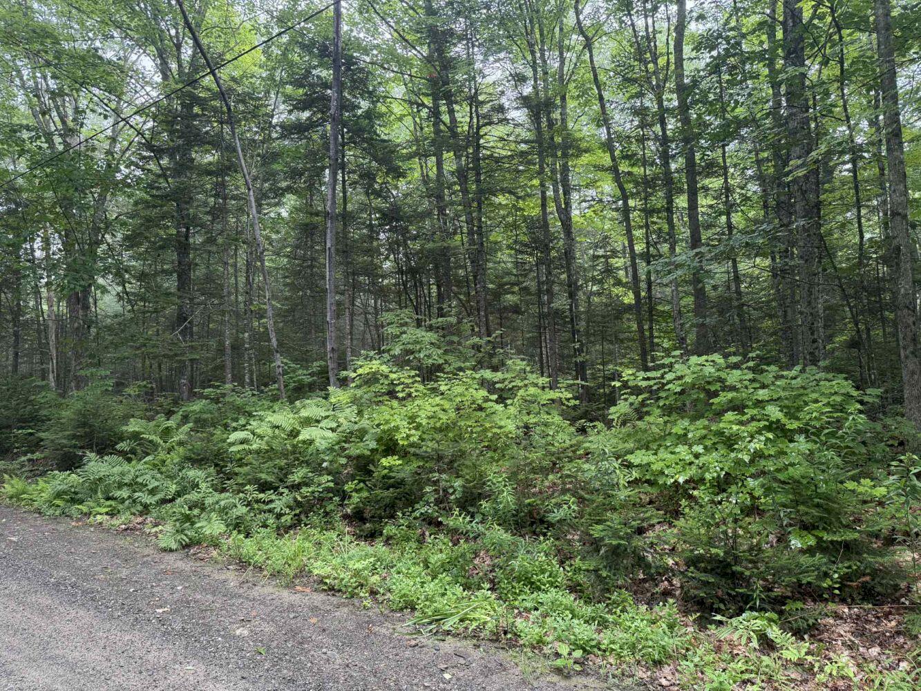 P/o M7-l32 Huff Corner Road Wellington, ME 04942 - Photo 6 of 6 att.v7Zzyhx-V1JrmCgMlN0oFG6j51gNAdeE1Gz3