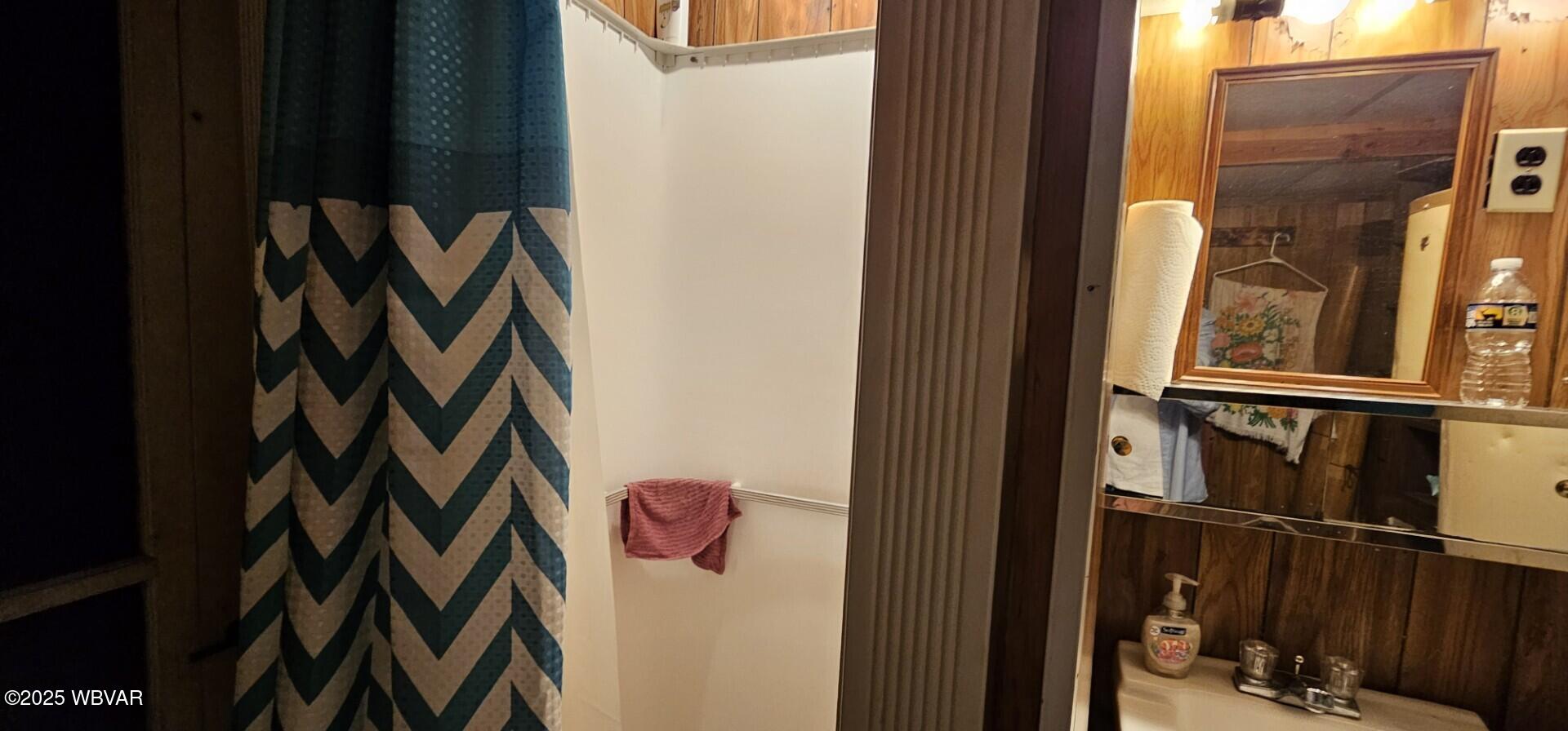 167 Hensel Fork Road Cross Fork, PA 17729 - Photo 17 of 18 Shower