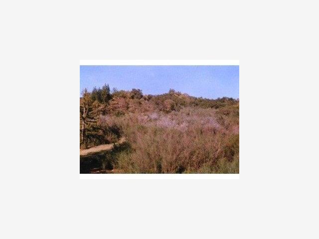 0 Croy Ridge Road Morgan Hill, CA 95037 - Photo 2 of 3 Gallery Image 2