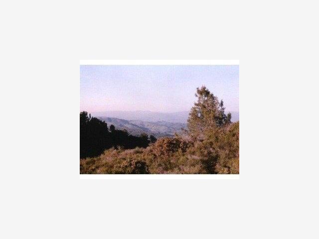 0 Croy Ridge Road Morgan Hill, CA 95037 - Photo 3 of 3 Gallery Image 3