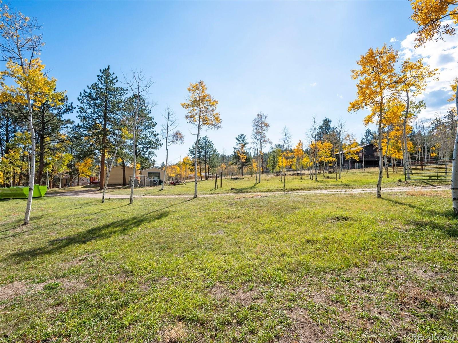 196 Beaver Trail Bailey, CO 80421 - Photo 5 of 50 Gallery Image 5